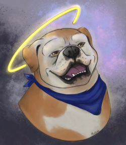 A hand drawn, digitally colored illustration of a smiling English Bulldog with a halo. There is a purple and grey background. The bulldog is wearing a dark blue, possibly Yale blue, bandana around its neck.