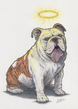 A color drawing of an English Bulldog with a halo. The drawing is hand drawn with pencil, ink, colored pencils, and markers.