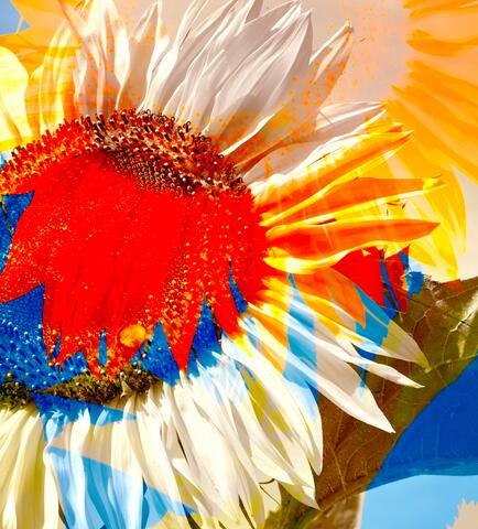 artwork of flowers