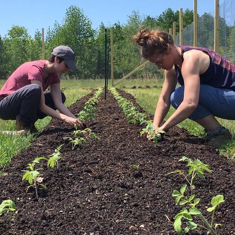 The Farminary at Princeton Theological Seminary