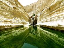 A photo of water in a canyon in daylight in Ein Avdat, Israel