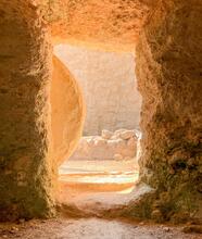 view from inside open tomb entrance